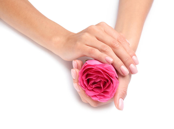 Woman holding rose on white background, closeup. Spa treatment - Foto, afbeelding