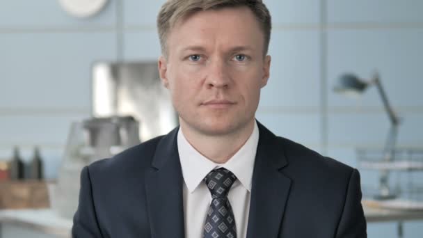 Portrait of Businessman in Office - Кадры, видео