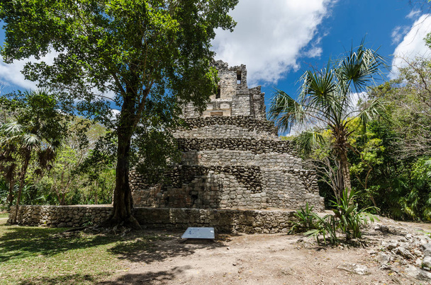 Muyil archaeological site in Quintana Roo, Mexico - Photo, Image