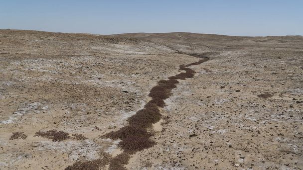 Saline soil. Iraq - Foto, Bild