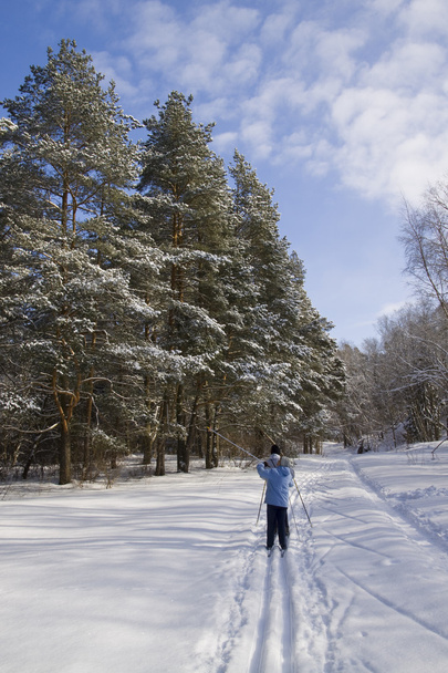 Лыжная прогулка в хороший зимний день
 - Фото, изображение
