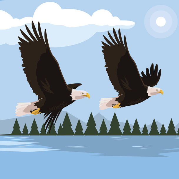 hermosas águilas calvas volando en la escena del lago
 - Vector, Imagen