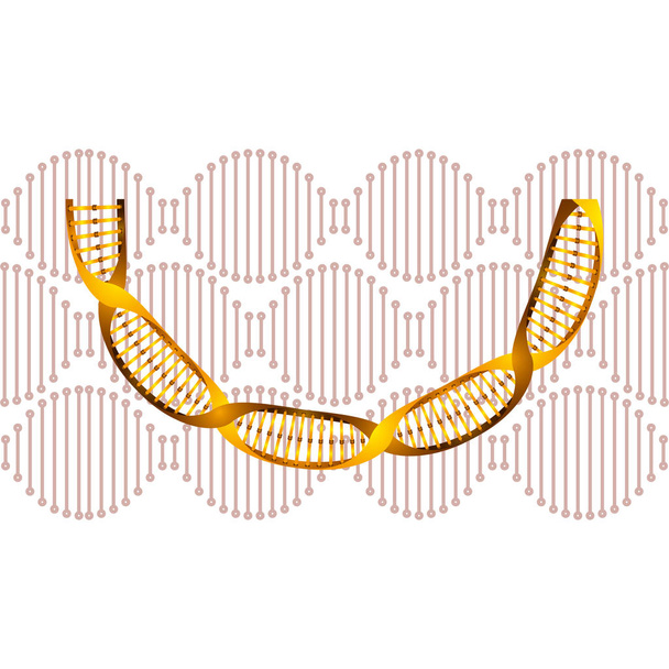 łańcuch DNA z ikoną nauki krzywej - Wektor, obraz