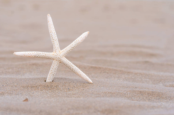 Starfish na praia de areia no verão com fundo do mar - Foto, Imagem