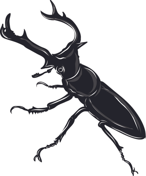 Beetle Silhouettes - Vector, Image