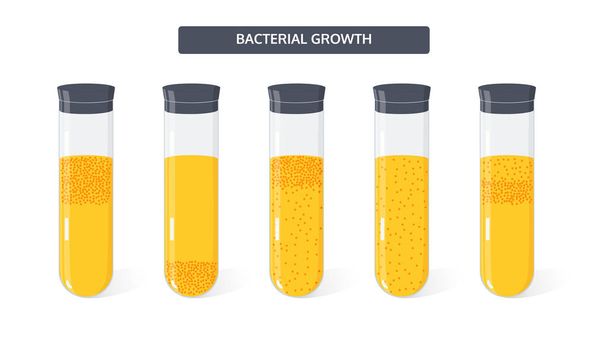 Vettore di crescita batterica
 - Vettoriali, immagini