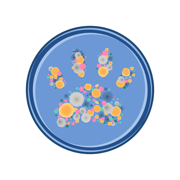 Bacterium growth vector - Vector, Image