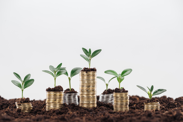 монеты с зелеными листьями и почвой, изолированные на белом с копировальным пространством, концепция финансового роста
 - Фото, изображение