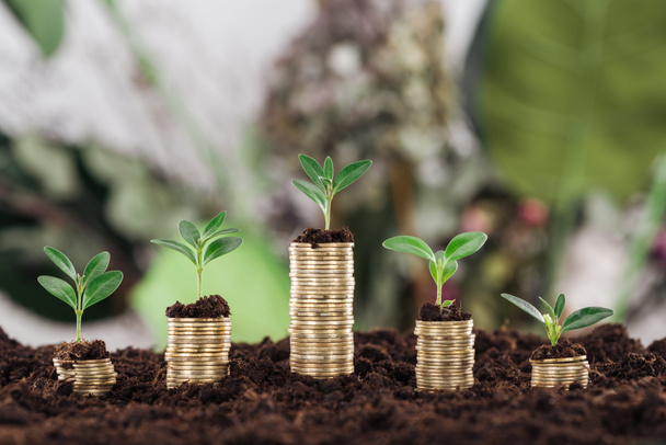 arranged golden coins with green leaves and soil, financial growth concept - Photo, Image
