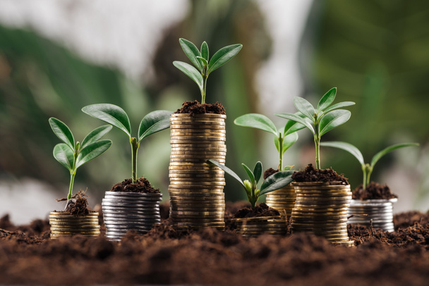 Silber- und Goldmünzen mit grünen Blättern und Erde, finanzielles Wachstumskonzept - Foto, Bild