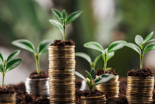 coins with soil and green leaves, financial growth concept - Photo, Image
