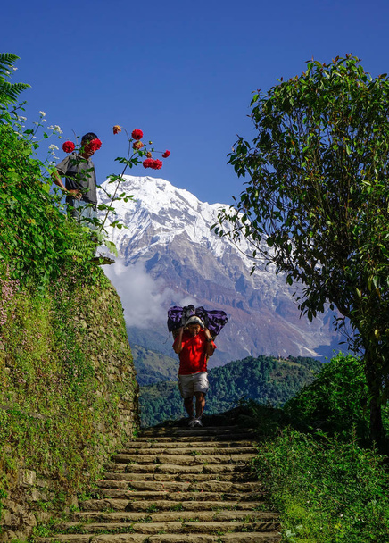 Kantaja kuljettaa suuria matkatavaroita vuorella
  - Valokuva, kuva
