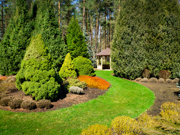 prachtige aangelegde tuin met coniferen en Bower - Foto, afbeelding