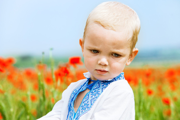 Cute boy portrait in embrodiery shirt - Фото, зображення