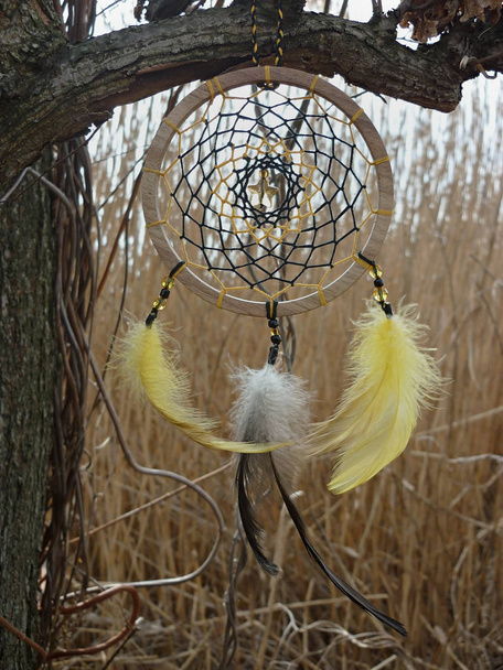 Dream catcher with yellow feathers on the background of reeds. Dreamcatcher sunset, mountains, boho-chic, ethnic amulet, symbol. - Photo, Image