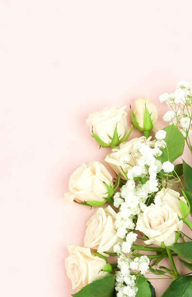 beautiful white roses arranged on pink background - Фото, изображение