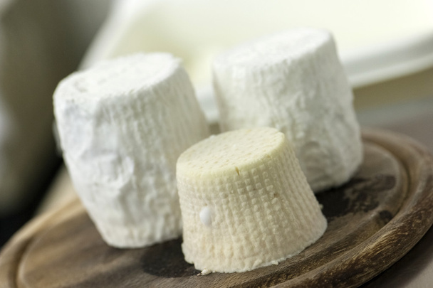 Fábrica de queso blanco de cabra
 - Foto, imagen