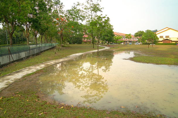 Flooded park after rain - 写真・画像