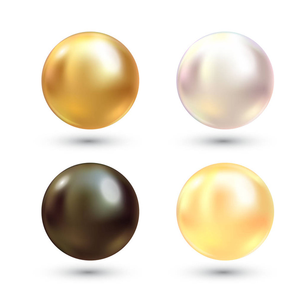 Realistic varicoloured pearls vector set. Precious pearl in sphere form. Pearl is luxury glossy stone illustration - Διάνυσμα, εικόνα