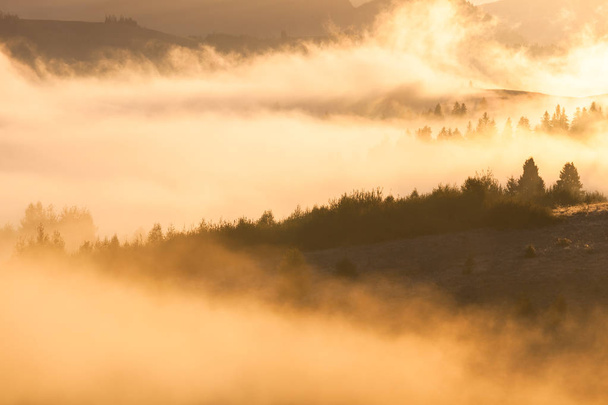 Sunrise at Smoky Mountains. Great Smoky Mountains National Park, USA - Fotó, kép
