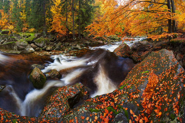 Schilderachtig uitzicht op bos en stenen in de herfst - Foto, afbeelding