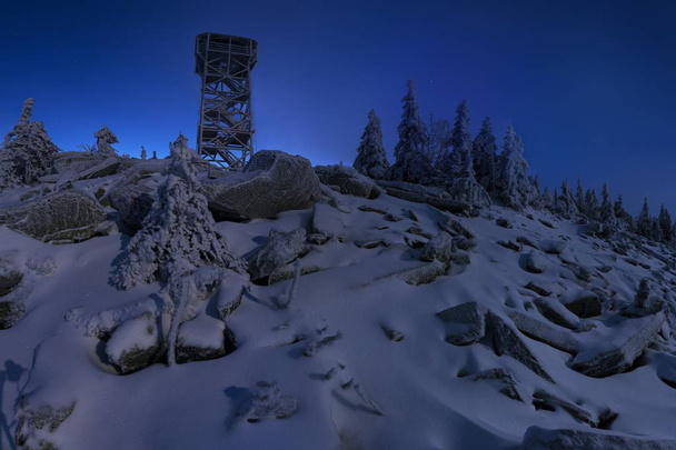 vue panoramique sur les sapins dans la neige en hiver
 - Photo, image
