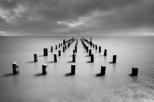Muelle romántico en Christchurch en Isla Sur de Nueva Zelanda, blanco y negro
 - Foto, imagen