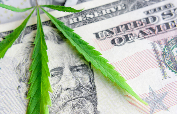 Banconote in dollari sulle foglie di cannabis verde. Denaro e mariju
 - Foto, immagini