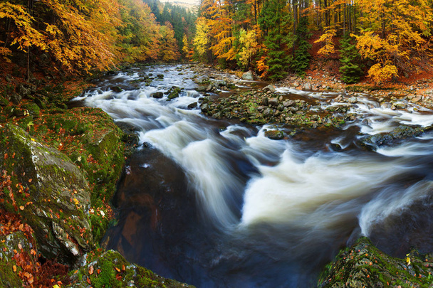 Vista panorámica del bosque y las piedras en otoño
 - Foto, imagen