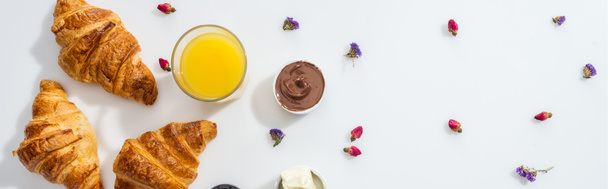 チョコレートクリーム、オレンジジュース、ドライフラワーをホワイトに添えたボウル近くのおいしいクロワッサンのパノラマショット  - 写真・画像