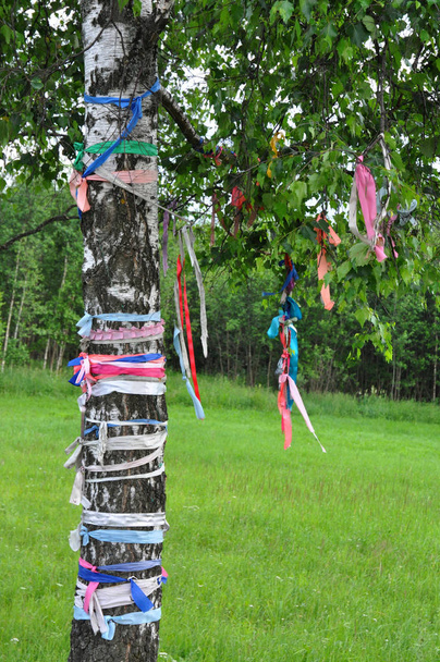 boom versierd met gekleurde linten - Foto, afbeelding