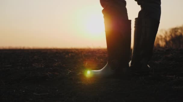 Γεωργός αρσενικό καουτσούκ μπότες περπάτημα μέσα από το καλλιεργημένο γεωργικό τομέα - Πλάνα, βίντεο
