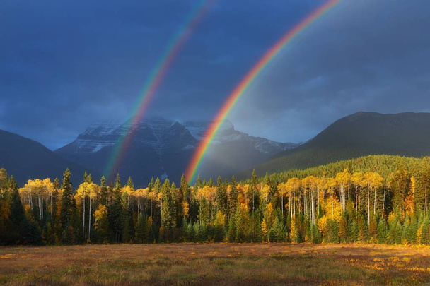 живописный вид на поля и деревья под радугой
 - Фото, изображение