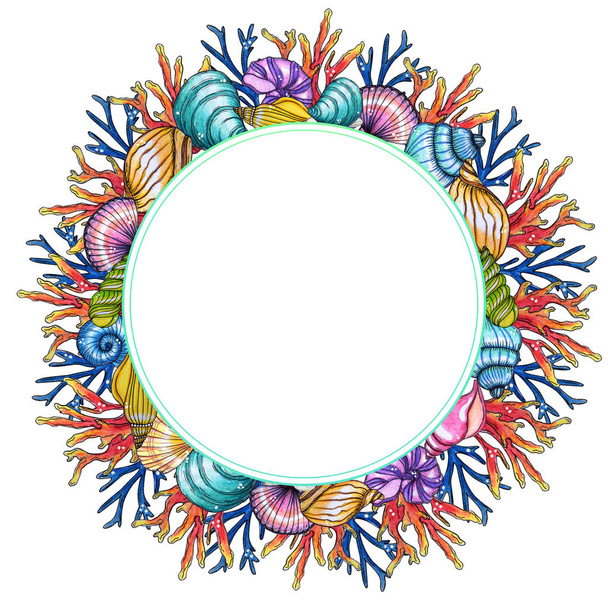 Aquarelle peinte à la main coquilles et coraux modèle isolé sur fond blanc
 - Photo, image
