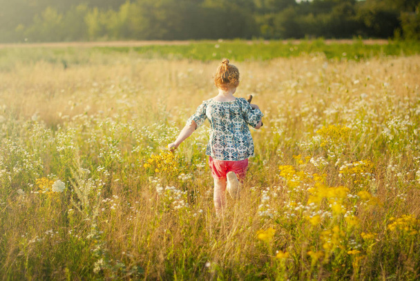 Ευτυχισμένο νεαρό κορίτσι με ένα λουλούδι στο χέρι του τρέχει σε όλο το χωράφι. - Φωτογραφία, εικόνα