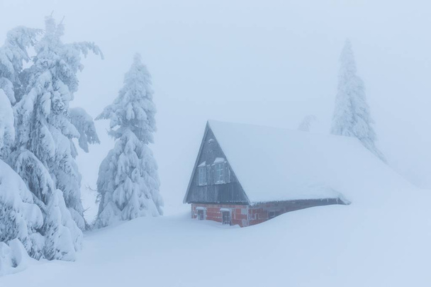 γραφική θέα του σπιτιού και ελάτων δέντρων στο χιόνι το χειμώνα - Φωτογραφία, εικόνα