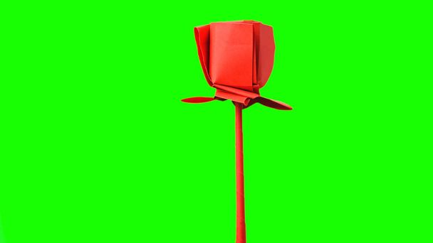 Flor de origami tulipán rojo
. - Foto, Imagen