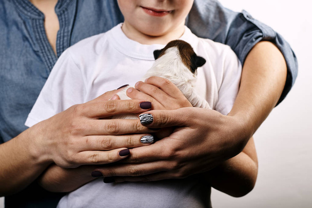Cropped shot of woman with son holding little puppy  - Foto, Imagem
