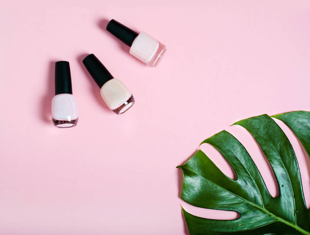 Nail polish. Decorative cosmetic. Delicate colors. Green leaf monstera. - Photo, image
