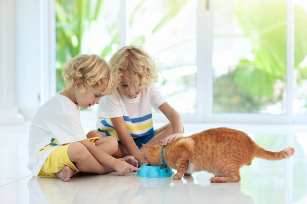 Child feeding home cat. Kids and pets. - Photo, Image