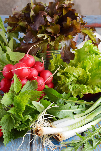 Čerstvá jarní zelenina a jedlých divokých bylin: ředkvičky, zelené a purpurové salát, cibule, rukola, pampeliška kopřivy. Příprava jídla, salátu. Zdravé jídlo - Fotografie, Obrázek