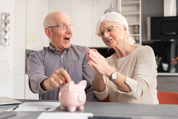 Senior couple putting coin into piggy bank - Fotoğraf, Görsel