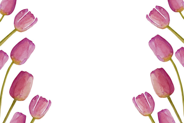 I tulipani primaverili rosa disegnati a mano hanno isolato i fiori primaverili. Modello di design del biglietto di auguri. Copia spazio
. - Foto, immagini
