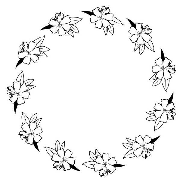 beautiful flower and leafs circular frame - ベクター画像