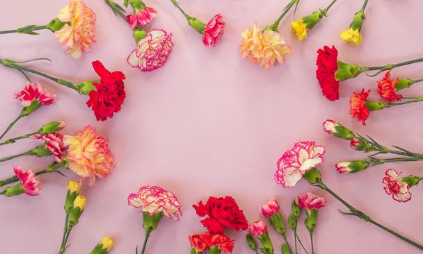 Pink background with carnations flowers and copy space. Top view. Mother's Day background. - Foto, immagini
