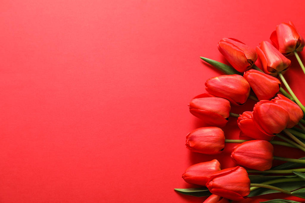 Many beautiful red tulips with green leaves on color background, - Foto, Imagen
