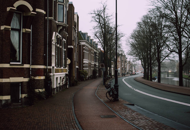 Brukowana chodnik na pięknej ulicy małej miejscowości Haarlem, Holandia. Zacieniony popołudniowy pejzaż - Zdjęcie, obraz