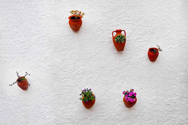 Klei potten met bloemen  - Foto, afbeelding