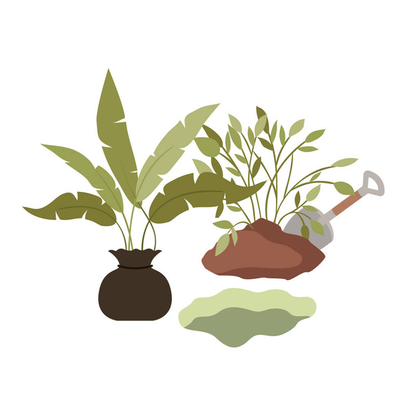 trees to plant isolated icon - Vector, Image