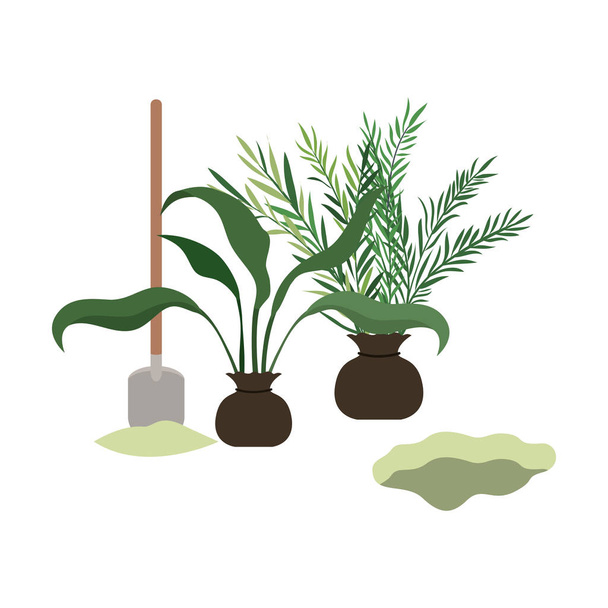 trees to plant isolated icon - Vector, Image